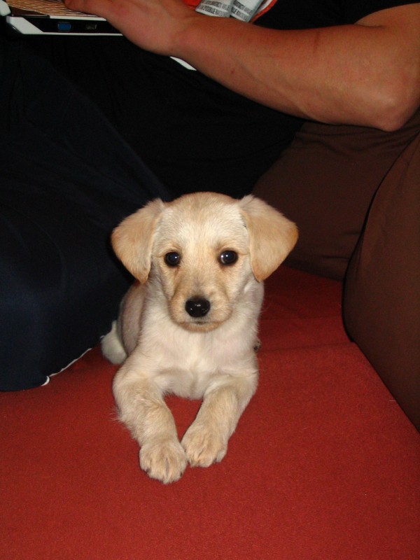 maggie