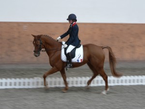a.gaudin-tarro